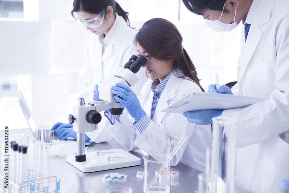 目合わせ評価チェック